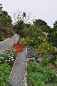 Alcatraz Historic Gardens (photo: Elizabeth Byers)