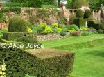 Mapperton Gardens, Lawn, Topiary Photo © Alice Joyce