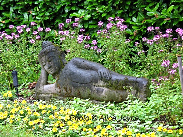 Andre Heller Botanic Garden Gardone Riviera Alice S Garden