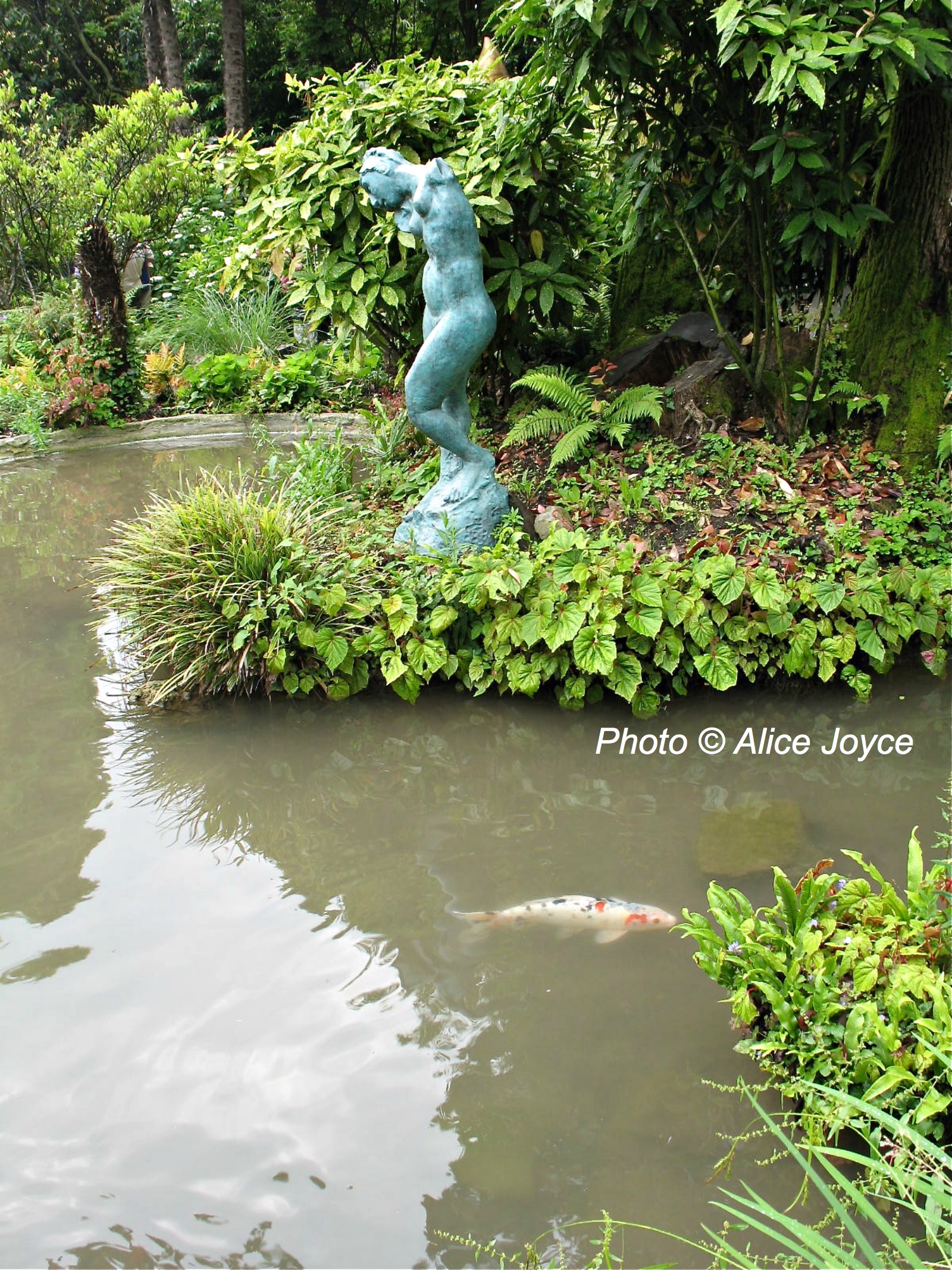 Andre Heller Botanic Garden Gardone Riviera Alice S Garden